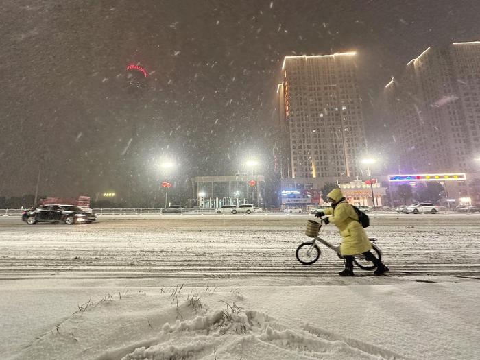 ▲1月31日，郑州市民在雪中推车前行据视觉中国